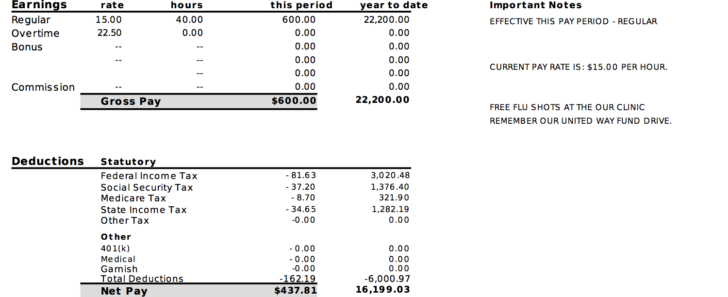 pay-stub-info-learn-examples-testimonials-free-preview-best