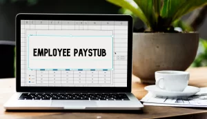 excel paystub