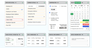 online pay check stub maker