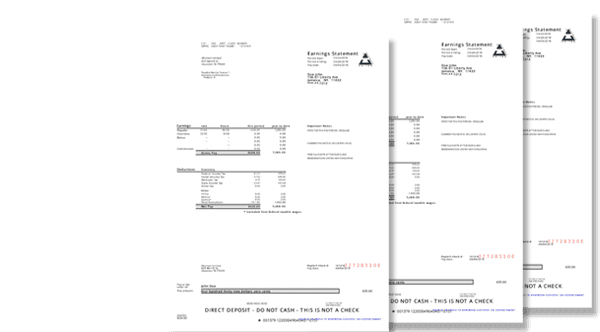 home paycheck stub online