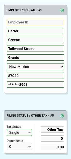 new mexico paystub