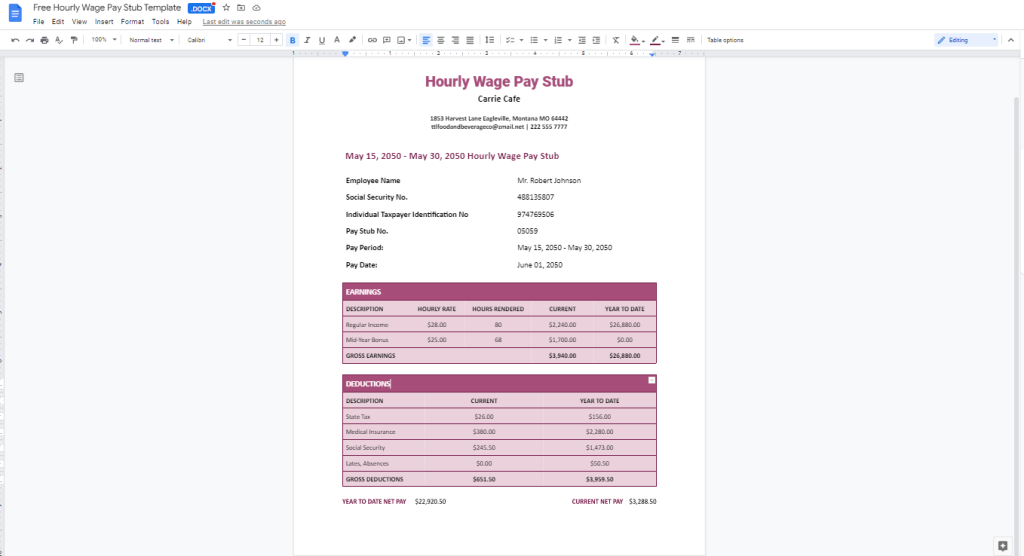 get-sample-pay-stub-templates-on-google-docs