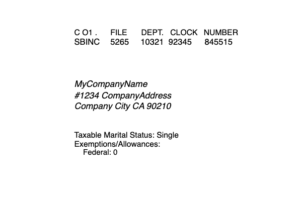 Example of Employer info on paystub